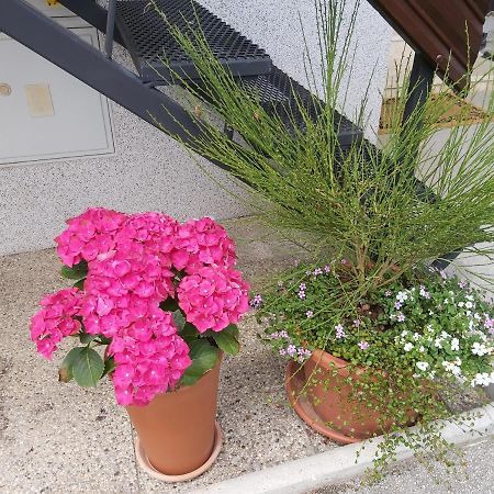 בלד Apartma Arnez מראה חיצוני תמונה
